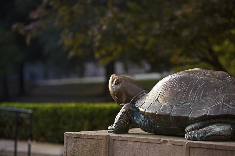 View of Testudo statue in front of McKeldin Library overlooking the Mall at sunrise.